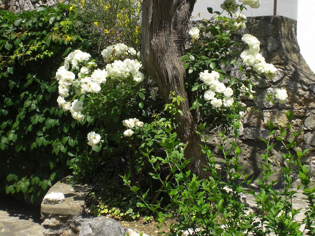 Casa Augusto B&B Capri Exterior photo
